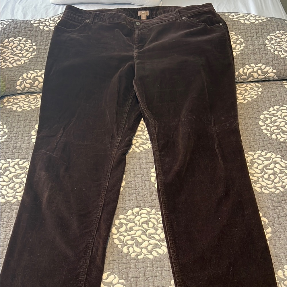 Dark Brown Corduroy Slim Leg Pants- Never Worn